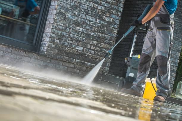 Best Animal Enclosure Cleaning  in Vinton, LA
