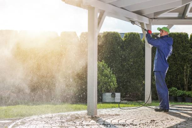 Best Graffiti Removal  in Vinton, LA